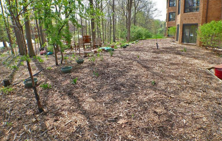 Nature Cove Condo Ann Arbor MI Condos for Sale